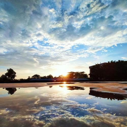 Photo #6489069