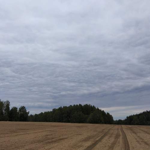 Photo #6489186