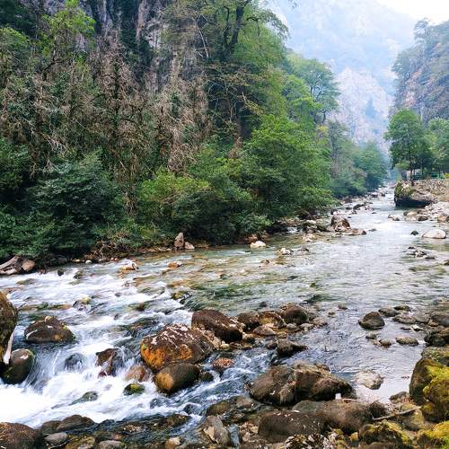 Photo #6489299