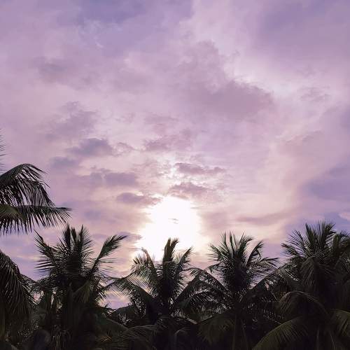 Photo #6489537