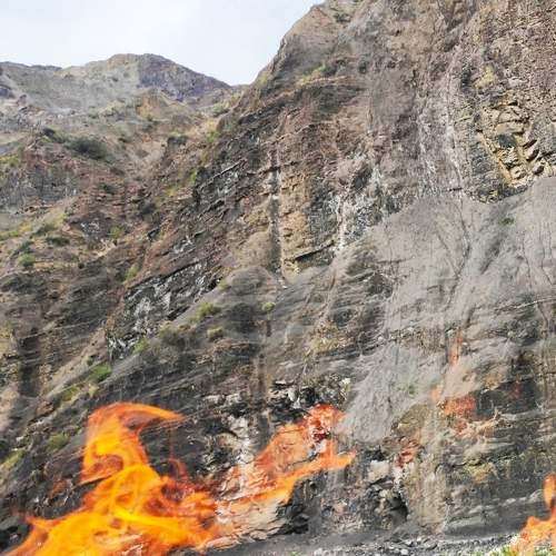 Photo #6489543
