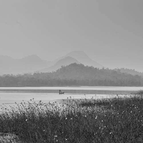 Photo #6489552