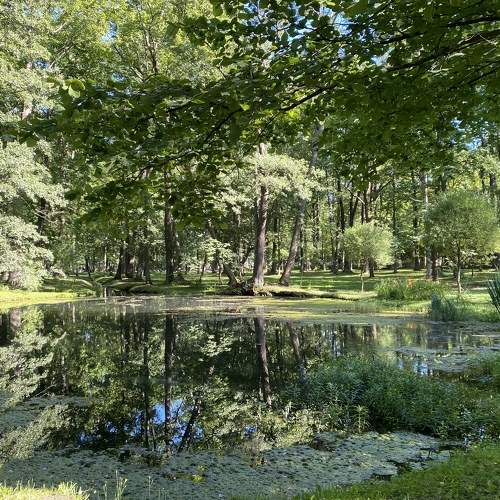 Photo #6489602