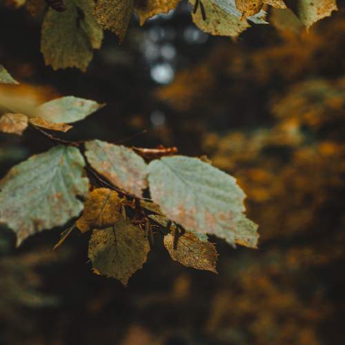 Фотография #6489750