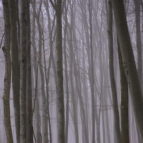 Silence 1