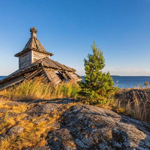 Photo #6489853