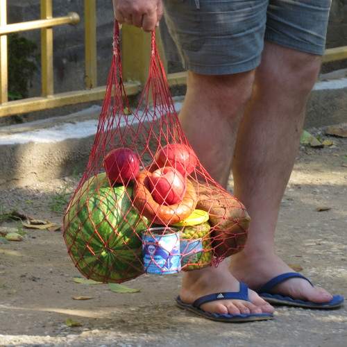 Photo #6490178