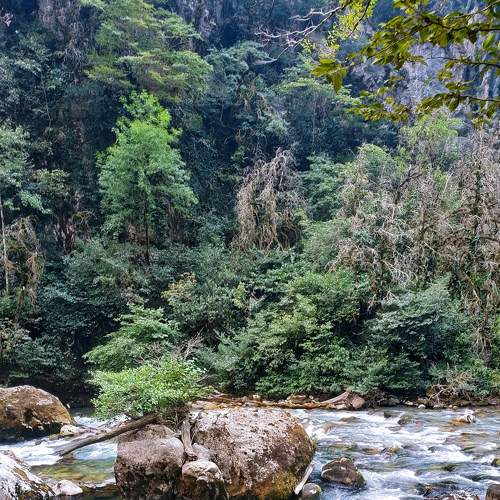 Photo #6490340
