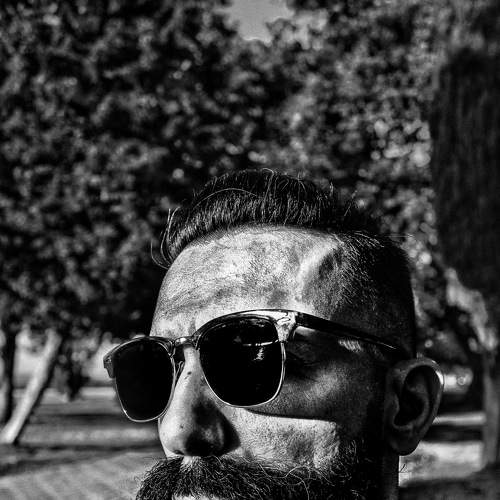Photo #6490501