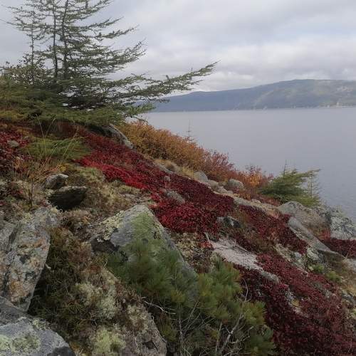 Photo #6490579