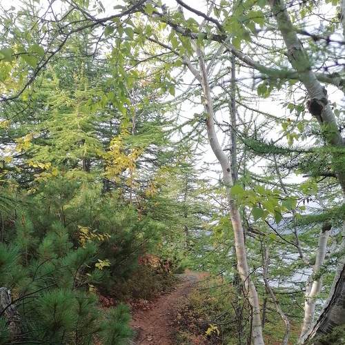Photo #6490581