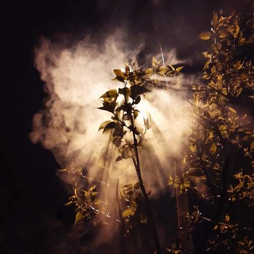 Vibration of silence...