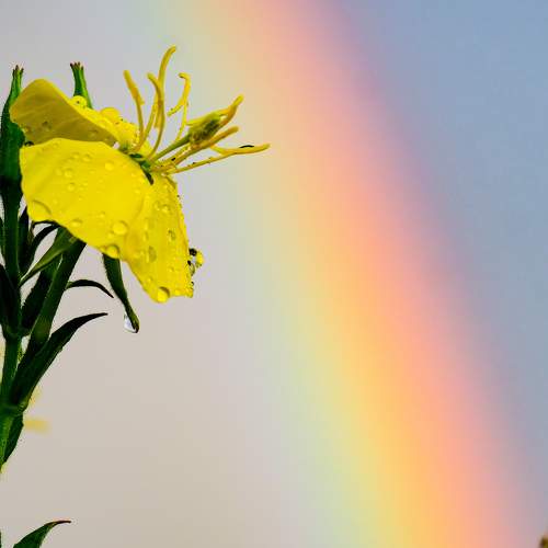 Photo #6490767