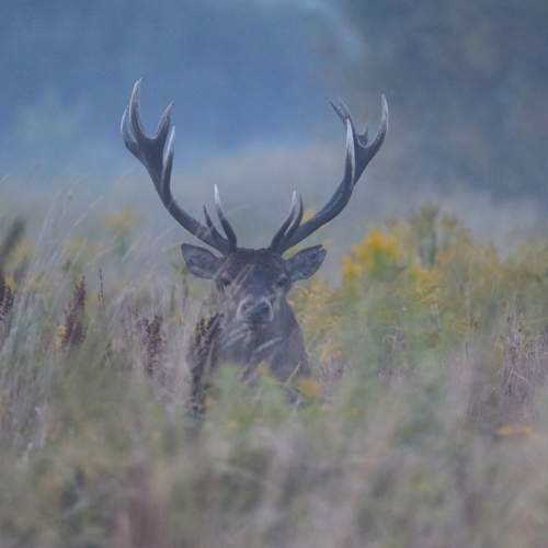 Photo #6490806
