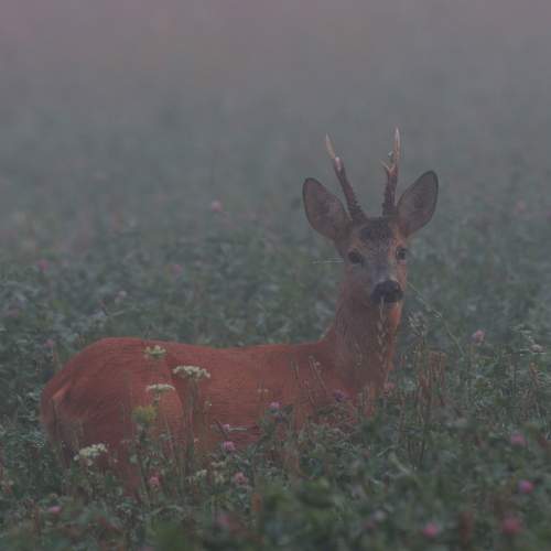 Photo #6490830