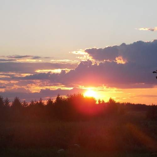 Photo #6490944