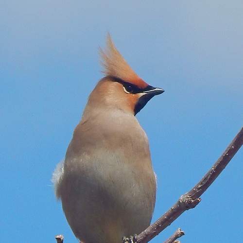 Photo #6491042