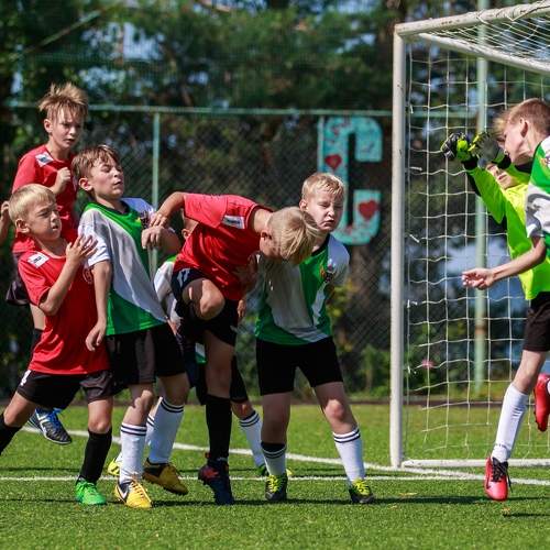 Photo #6491134