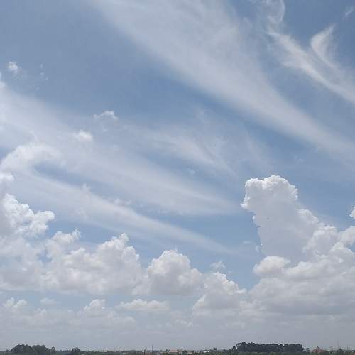 Photo #6491170