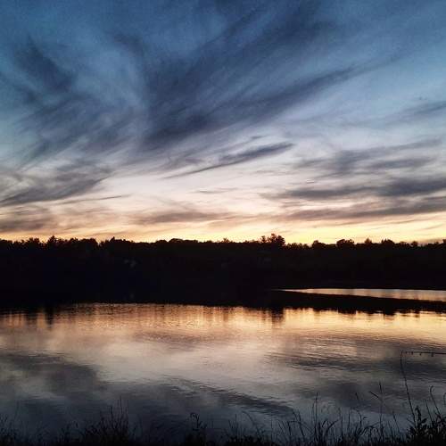 Photo #6491317