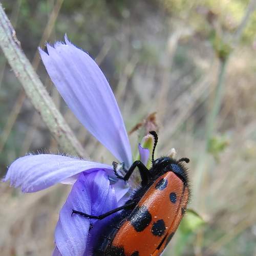 Photo #6491454