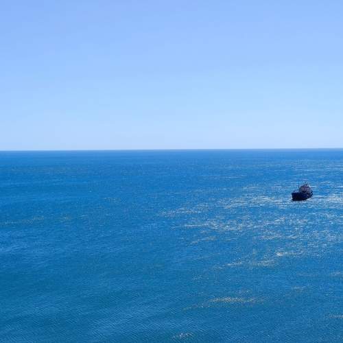 Photo #6491468