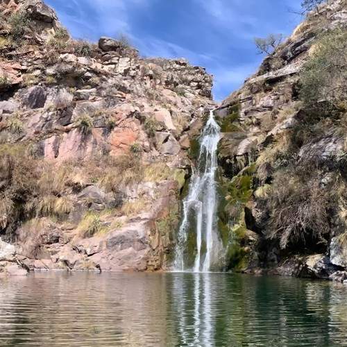 Photo #6491588