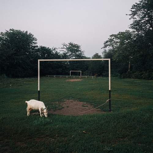 Photo #6491645
