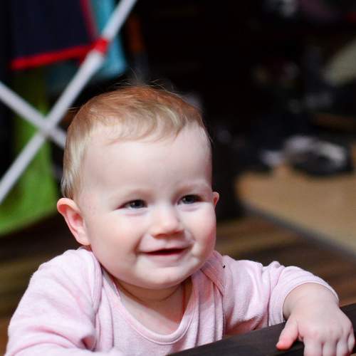 Photo #6491855