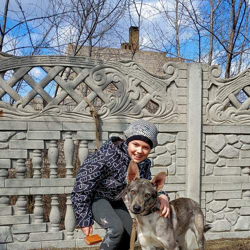 Photo #6491932