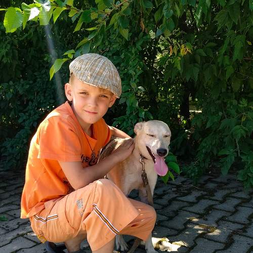 Photo #6491979