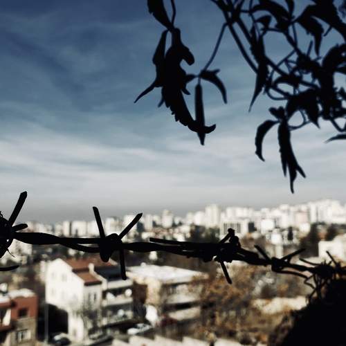 Photo #6492198
