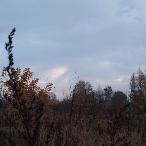 Photo #6492292