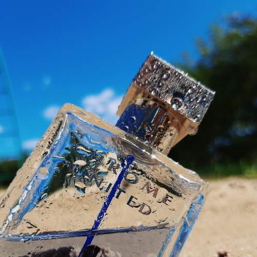Photo #6492486