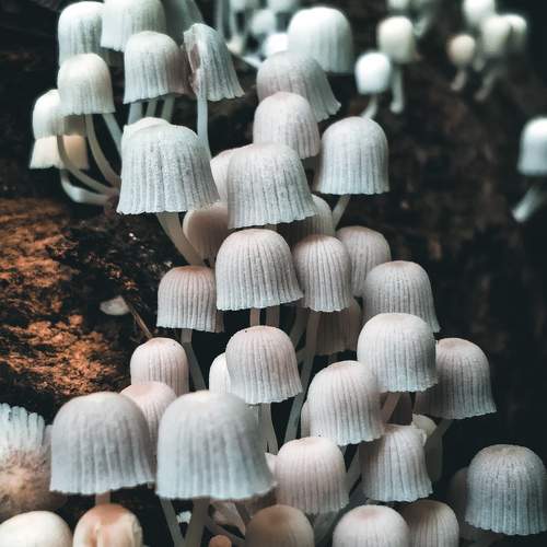 Photo #6492700