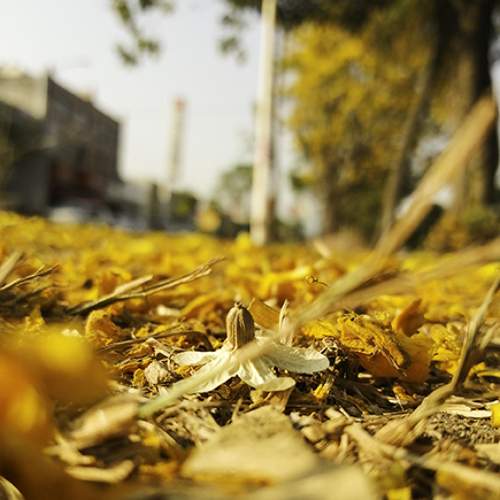 Photo #6492922