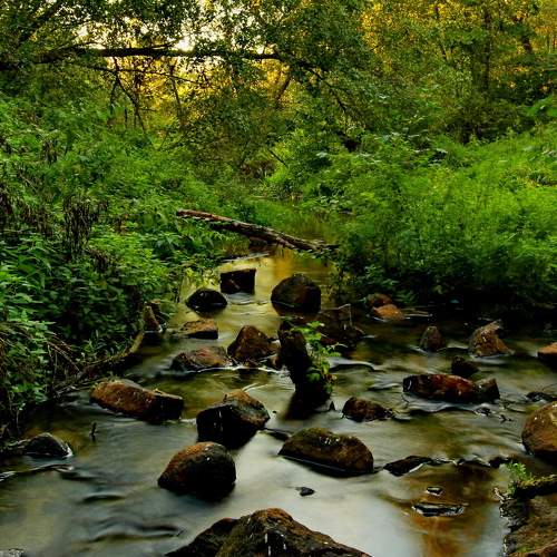 Photo #6493036