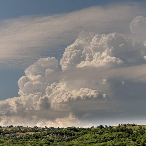 Photo #6493114