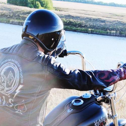 Photo #6493524