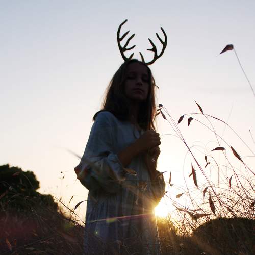 Photo #6493691