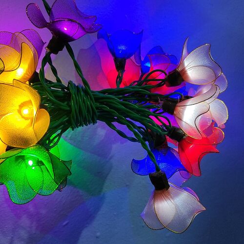 Photo #6494356