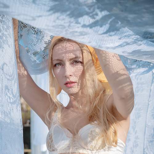 Photo #6495254