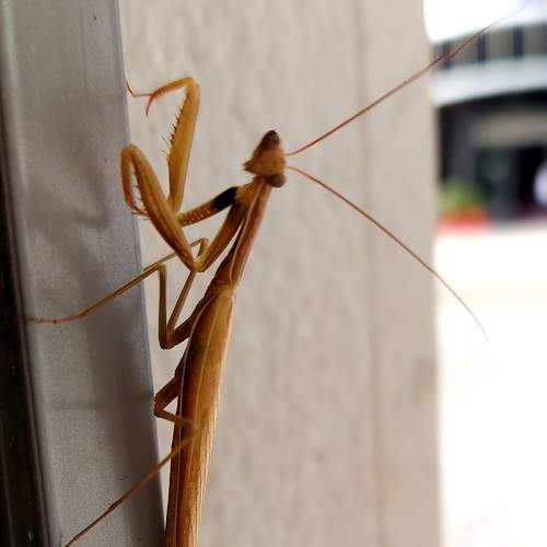 Photo #6495470