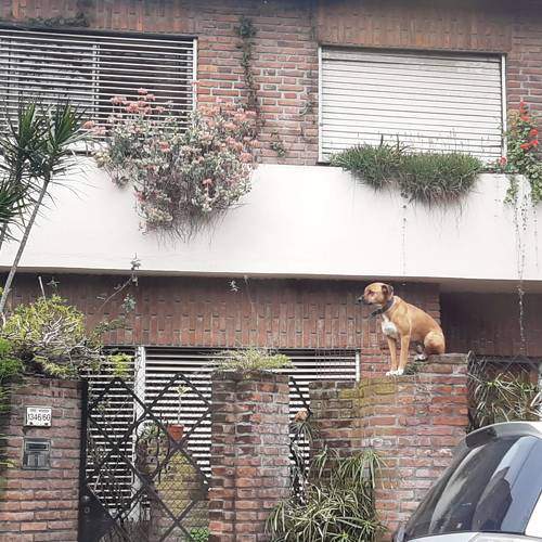 Photo #6495505