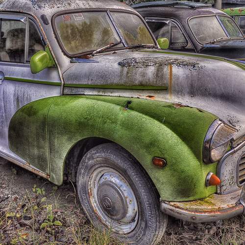 Photo #6495742