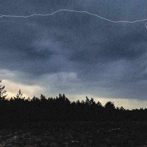 Photo #6496824