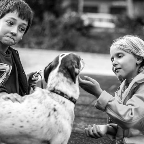 Photo #6497122