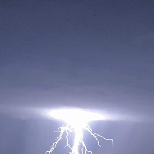 Photo #6497453