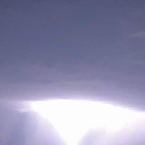 Photo #6497475