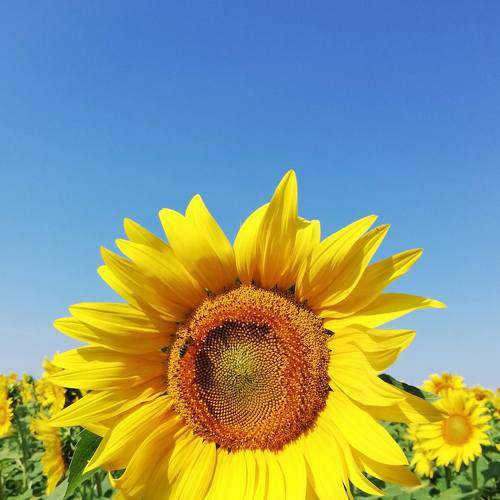 Photo #6497634